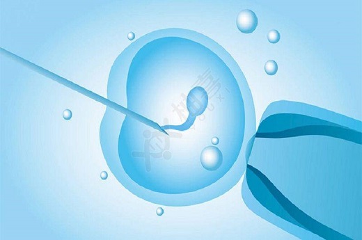 试管婴儿胚胎为什么要冷冻