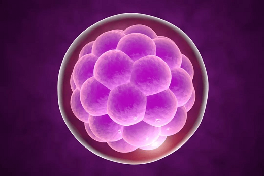 试管婴儿胚囊植入后要注意什么