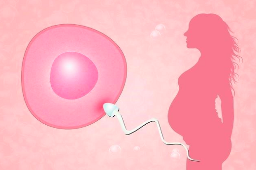 试管婴儿放胚胎后有什么反应