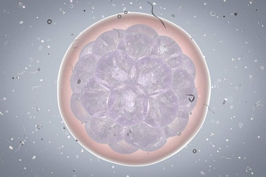 试管婴儿胚胎着床有什么症状
