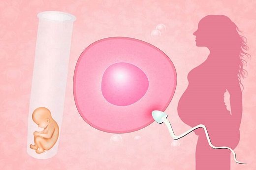 为什么试管婴儿需要补充孕激素