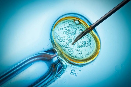 试管婴儿什么时候植入胚胎