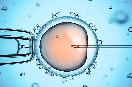 试管婴儿放了胚胎注意什么