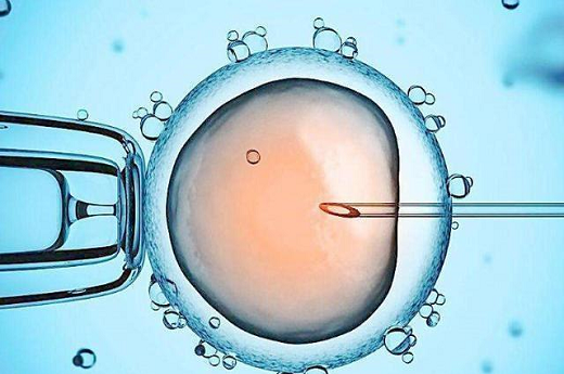 试管婴儿胚胎植入后需要做什么