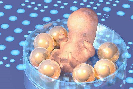 做试管婴儿什么胚胎最好