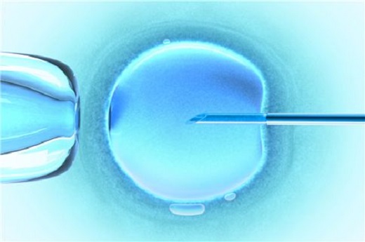 试管婴儿为什么胚胎配不成