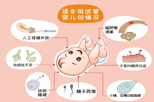 在汉中试管婴儿要花多少钱？